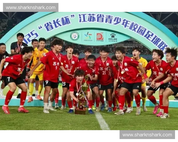 2025年度足球联赛报名启动全程指南及注意事项