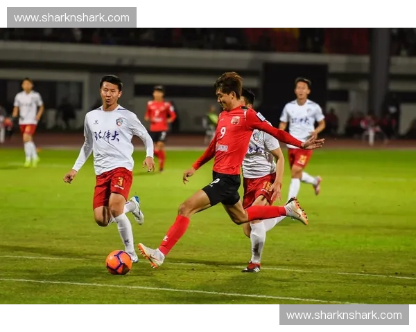 聚焦嘉定业余足球联赛推动社区体育文化全面繁荣持续创新发展